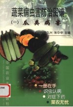 蔬菜病虫害防治图谱 1 瓜类病害