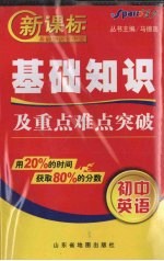新课标基础知识及重点难点突破 初中英语
