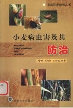 小麦病虫害及其防治