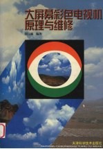大屏幕彩色电视机原理与维修
