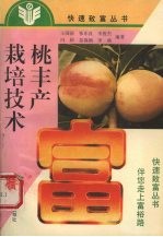 桃