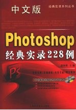 中文版Photoshop经典实录228例
