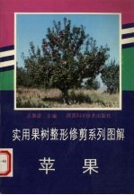 实用果树整形修剪系列图解 苹果