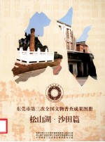 东莞市第三次全国文物普查成果图册 松山湖·沙田篇