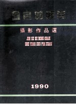 金色的东莞 摄影作品选 1990