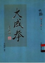 大成拳 第3卷 王选杰大成拳大全