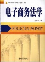 电子商务法学