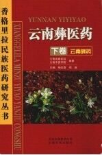 云南彝医药·云南彝药 下