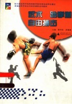 武术 跆拳道 自由搏击
