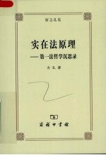 实在法原理 第一法哲学沉思录