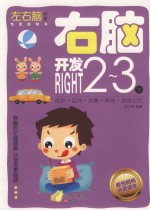 左右脑开发创意游戏书 右脑开发 2-3岁
