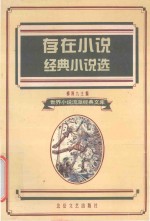 存在小说 经典小说选