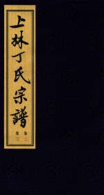 上林丁氏宗谱 卷2-卷3