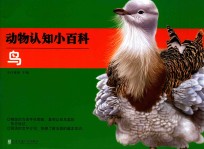动物认知小百科 鸟