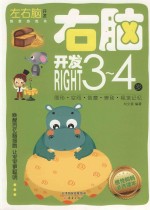 左右脑开发创意游戏书 右脑开发 3-4岁