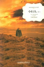 名家名译世界文学名著 小妇人 下