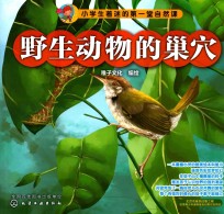 小学生着迷的第一堂自然课 野生动物的巢穴