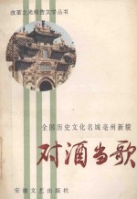 对酒当歌 全国历史文化名城亳州新貌