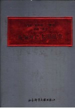 新编汉语多用辞典