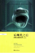 后现代之后后前卫视觉艺术 修订版