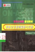 具体会计准则解析与实例