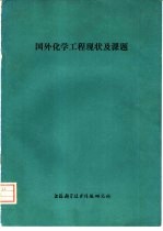 国外化学工程现状及课题