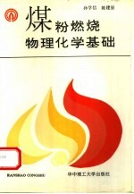 煤粉燃烧物理化学基础