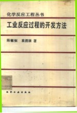 工业反应过程的开发方法