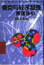 夸克与轻子物理 原理导引