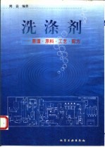 洗涤剂 原理·原料·工艺·配方