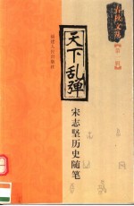天下乱弹 宋志坚历史随笔