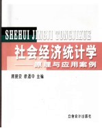 社会经济统计学 原理与应用案例