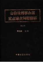 公检法刑事办案重点难点问题释解 第3卷