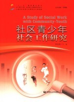 社区青少年社会工作研究