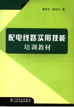 配电线路实用技能培训教材