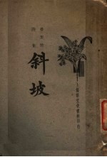 斜坡 第2版