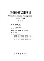 创伤外科实用图谱