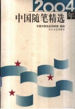 2004年中国随笔精选
