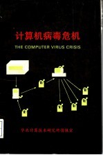 计算机病毒危机