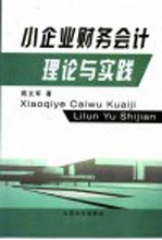 小企业财务会计理论与实践