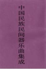 中国民族民间器乐曲集成 贵州卷 下