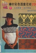 趣味棒针彩色图案黄杨200 下 几何图案 花卉图案