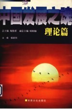 中国发展之魂 理论篇