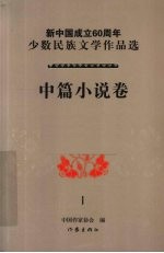 新中国成立60周年少数民族文学作品选 中篇小说卷 1