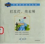 打左灯,向右转