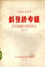 斜张桥专辑 第5集