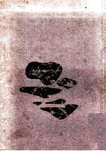 雲よ汝は 豹と薔薇