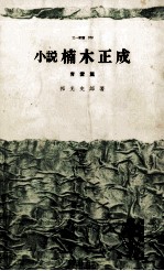 小説楠木正成