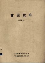 甘蔗栽培