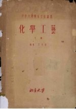 北京大学对外交流讲义 化学工艺 下